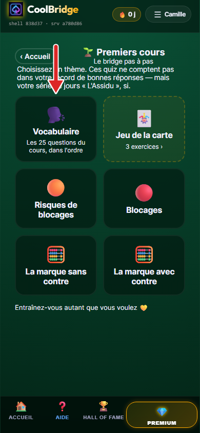 Page Premiers cours, grille des thèmes, flèche sur Vocabulaire