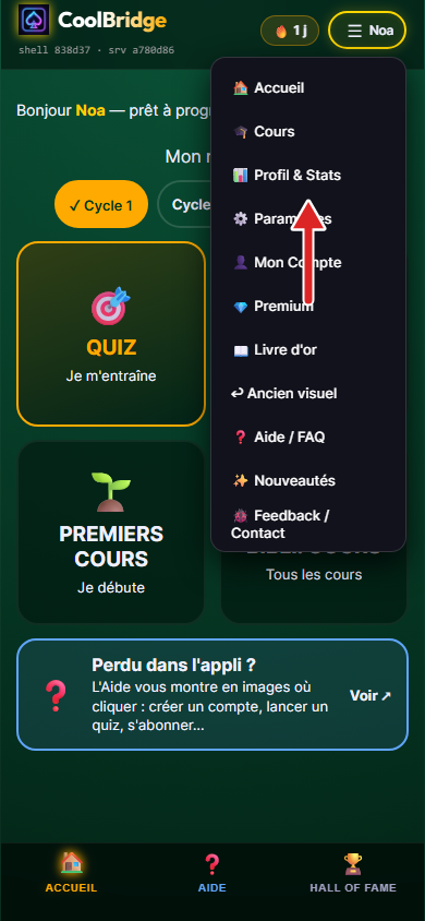 Menu ouvert, flèche sur Profil et Stats