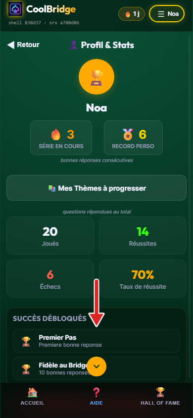 Bas de l'écran Profil et Stats, flèche sur les succès débloqués
